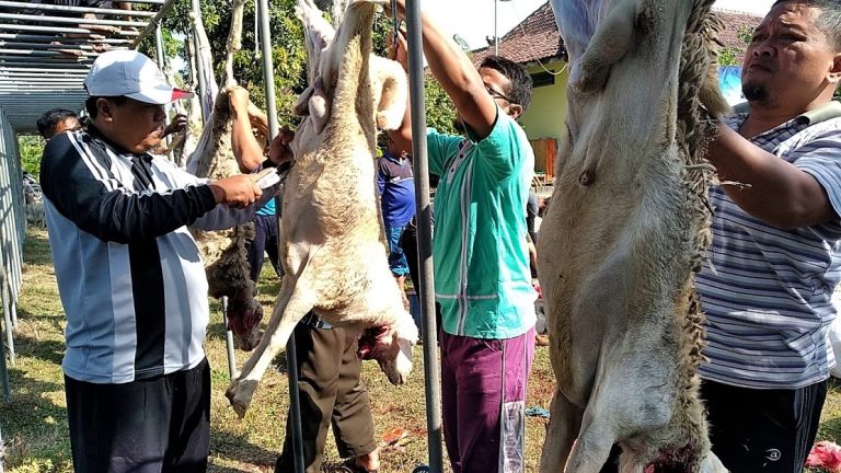 Suasana Idul Adha 2019 Pondok Modern Al-Barokah Nganjuk
